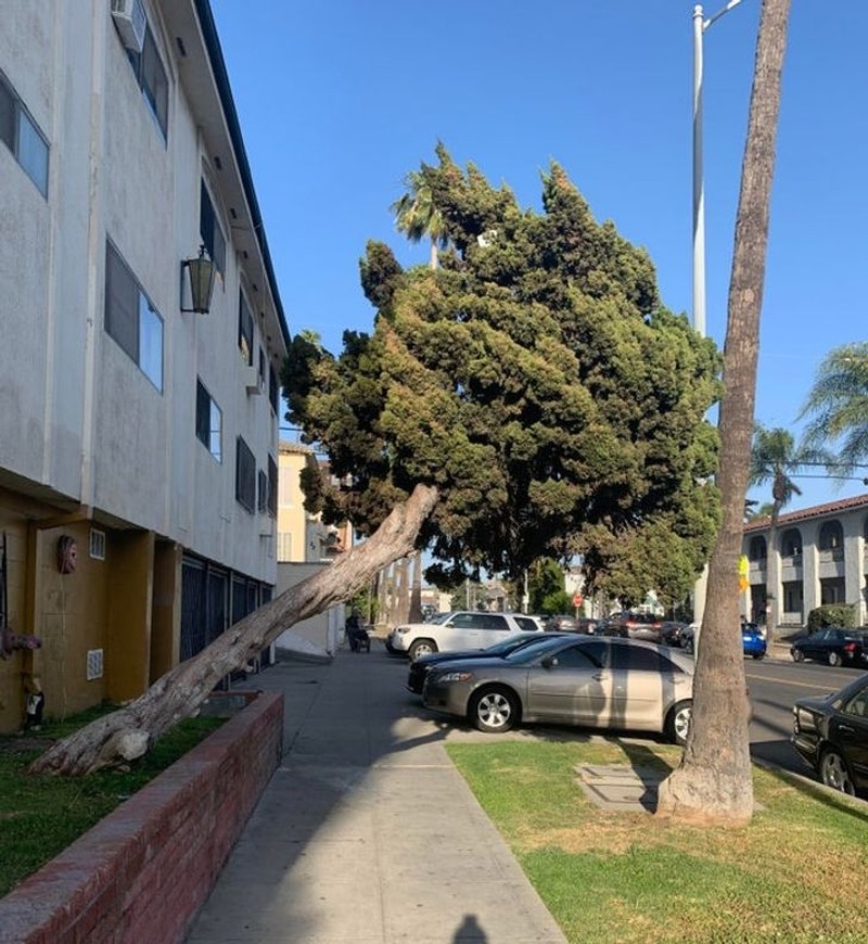 fotoinet foto alam unik