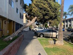 Potret Alam Aneh yang di Luar Perannya