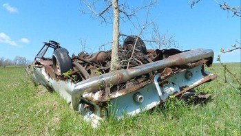 “Sebuah mobil yang ditinggalkan sedang direklamasi oleh alam” Foto: Brightside