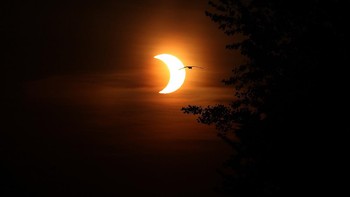 Gerhana matahari cincin di Amerika dan Kanada tampak hanya menjadi gerhana matahari sebagian, seperti tampak di Toronto, Kanada (Steve Russell/Toronto Star via Getty Images)