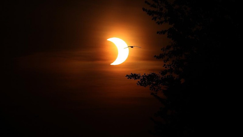 GRAND CANYON NATIONAL PARK, AZ - MAY 20:  A composite of images of the first annular eclipse seen in the U.S. since 1994 shows several stages, left to right, as the eclipse passes through annularity and the sun changes color as it approaches sunset on May 20, 2012 in Grand Canyon National Park, Arizona. Differing from a total solar eclipse, the moon in an annular eclipse appears too small to cover the sun completely, leaving a ring of fire effect around the moon. The eclipse is casting a shallow path crossing the West from west Texas to Oregon then arcing across the northern Pacific Ocean to Tokyo, Japan. (Photo by David McNew/Getty Images)