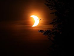 Indahnya Gerhana Matahari Cincin Api di Berbagai Negara