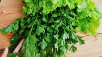 Ghaida sangat senang mendapat kiriman selada dan seledri dari tetangganya yang berkebun sendiri. “Sesuatu yg sederhana namun disampaikan dengan ikhlas.. Akan terasa mewah dan berharga,” katanya.