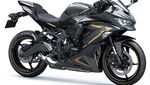 Potret Kawasaki Ninja ZX-25R 2022, Warna Merahnya Bikin Naksir