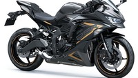 Selain hadir dengan warna dan grafis baru yang lebih menarik, Ninja ZX-25R tetap dibekali mesin 250 cc, 4 silinder, dengan teknologi canggih, suara mesin khas 4 silinder dan juga diklaim menawarkan kenyamanan berkendara bagi pada rider. Foto: Dok. Kawasaki Motor Indonesia (KMI)