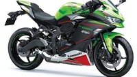 Dengan varian warna baru ini, kami ingin tetap mempertahankan ciri khas Kawasaki Ninja yang sangat kental dengan warna-warna fresh, eye catching dan design grafis yang tajam dan sporty, tulis KMI dalam keterangan resminya, Jumat (11/6/2021). Foto: Dok. Kawasaki Motor Indonesia (KMI)