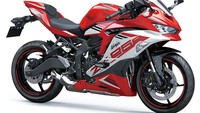 Sementara untuk tipe ABS SE ada 3 warna, yaitu Lime Green/Pearl Blizzard White, Metallic Matte Graphene Steel Gray/Metallic Spark Black, dan Passion Red/Pearl Blizzard White. Foto: Dok. Kawasaki Motor Indonesia (KMI)