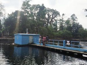 Kolam Utama Mata Air Umbulan Resmi Ditutup untuk Umum