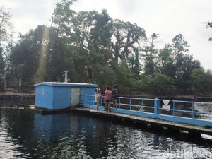 Kolam Utama Mata Air Umbulan Resmi Ditutup untuk Umum