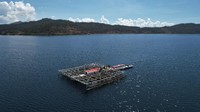 Akibatnya, tangkapan ikan diwilayah itu turun bahkan ukuran ikan tangkapan relatif lebih kecil sementara nelayan mengaku sejak aktivitas pertambangan nikel menyebabkan terumbu karang disekelilingnya tertutup lumpur. 