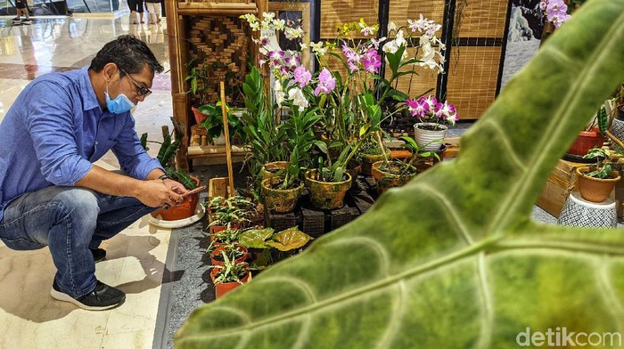 Berbagai Jenis Tanaman Hias Dipamerkan di TSM Cibubur Pengunjung pusat perbelanjaan melihat koleksi tanaman pada pameran tanaman hias 'Aquascaping Contest & Expo' di Trans Studio Mall (TSM) Cibubur, Sabtu (12/6/2021). Menurut data Asosiasi Bunga Indonesia (ASBINDO), peningkatan permintaan bunga hias mencapai 65 persen pada masa pandemi 2020.
