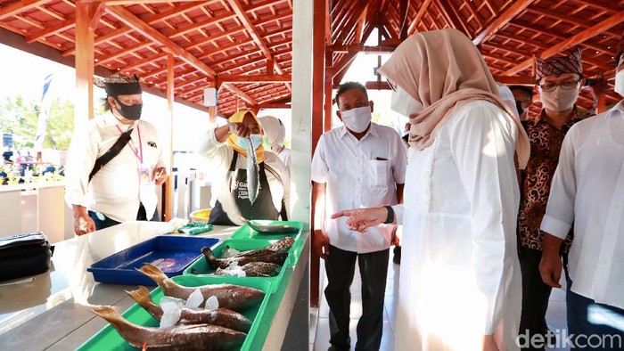 Fish Market Festival
