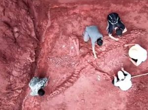 Fosil Dinosaurus Usia 180 Juta Tahun Ditemukan Nyaris Utuh