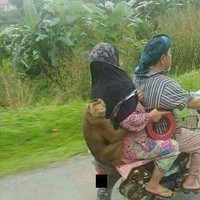 Monyetnya sampai pelukan erat gitu saking takut jatoh. Lagian si ibu pake acara bawa-bawa monyet peliharaannya segala deh. Foto: instagram.com/@sukijan.id