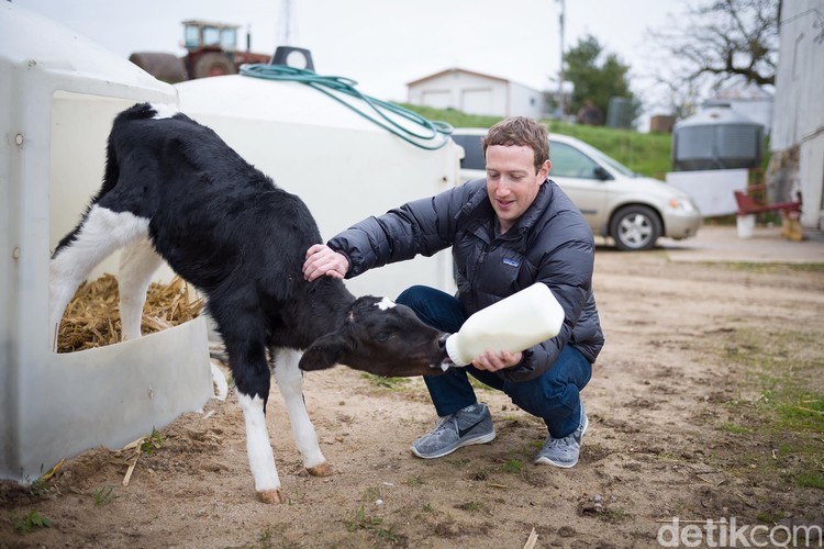 fotoinet Potret Sederhana Pendiri Facebook Mark Zuckerberg