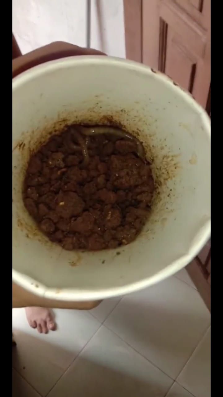 Sedih! Gelas BTS Meal Netizen Ini Dijadikan Wadah Cacing oleh Sang Ayah