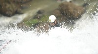 Canyoneering di curug cikondang
