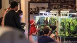 Pameran Aquascape di TSM Cibubur