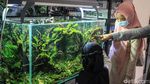 Pameran Aquascape di TSM Cibubur
