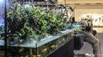 Pameran Aquascape di TSM Cibubur