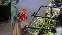 Beragam tanaman menghiasi aquascape yang dipamerkan di Trans Studio Mall (TSM) Cibubur