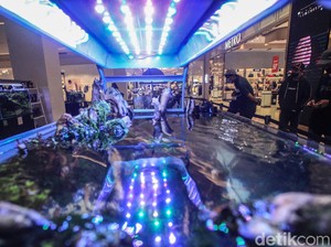 Mengintip Keindahan Ekosistem Aquascape di TSM Cibubur