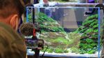 Pameran Aquascape di TSM Cibubur