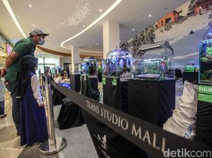Keseruan Para Master Merakit Langsung Aquascape di TSM Cibubur