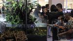 Pameran Aquascape di TSM Cibubur