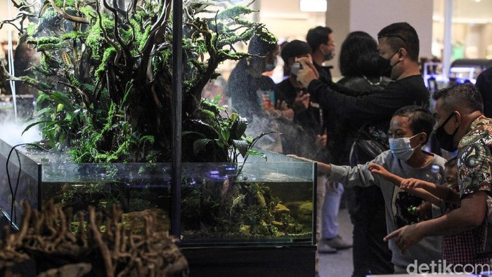 Pameran bertajuk 'Aquascaping Contest & Expo' digelar di Trans Studio Mall (TSM) Cibubur, Sabtu (12/61). Sejumlah karya yang artistik dipamerkan.