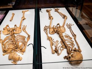 Tes DNA Ungkap Hubungan Keluarga 2 Kerangka Viking di Denmark dan Inggris