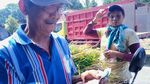 Wanita-wanita Tangguh Pencari Pakan Ternak Sapi di Gunung Merapi