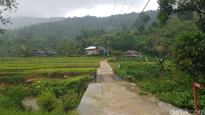 Air Terjun Salu Dambu Air Terjun Salu Dambu