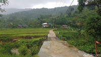 Udara sejuk khas pegunungan disertai dinginnya air yang mengalir, menjadi magnet tersendiri. Keadaan ini dijamin mampu membuat para pengunjung betah berlama-lama di Air Terjun Salu Dambu, sembari merelaksasi diri dari penat rutinitas kerja.