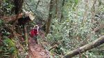 Air Terjun Salu Dambu, Lukisan Alam dari Mamasa