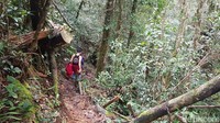 Tempat ini bisa menjadi pilihan apalagi buat warga yang suka bertualang di alam bebas. 