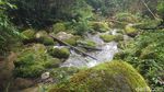Air Terjun Salu Dambu, Lukisan Alam dari Mamasa