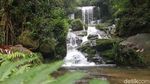 Air Terjun Salu Dambu, Lukisan Alam dari Mamasa
