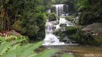 Air terjun ini terdiri dari beberapa air terjun berukuran mini, yang bersusun dengan posisi tidak beraturan. Air Terjun Salu Dambu ini dikelilingi pepohonan tinggi, dengan bebatuan besar pada bagian tengah yang memecah aliran air.
