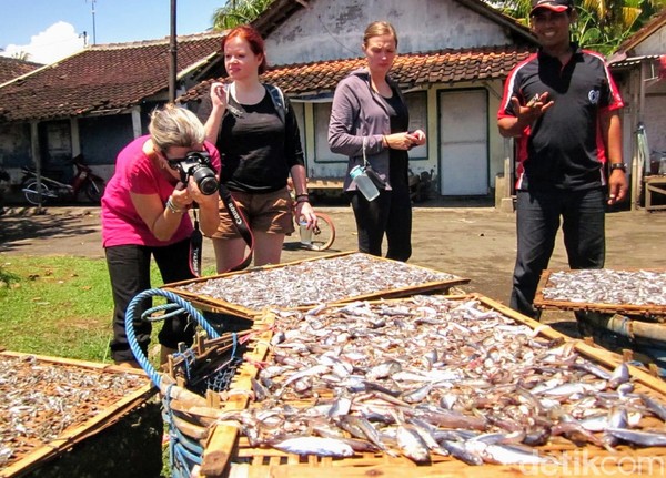 Tak hanya itu, Desa Wonorejo Situbondo yang sering disebut The Eastern Village of Java atau desa paling timur di pulau Jawa ini memiliki potensi desa sangat beragam. Di antaranya potensi wisata desa berbasis lingkungan, perkampungan nelayan, serta sejumlah potensi lainnya. Tak hanya itu, Desa Wonorejo Situbondo yang sering disebut The Eastern Village of Java atau desa paling timur di pulau Jawa ini memiliki potensi desa sangat beragam. Di antaranya potensi wisata desa berbasis lingkungan, perkampungan nelayan, serta sejumlah potensi lainnya.
