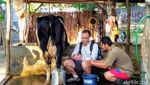 Foto: Desa Paling Timur di Pulau Jawa yang Cantik Jelita