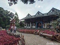 6 Aktivitas Menarik di Farm House Lembang, Simak Harga Tiket dan Lokasinya