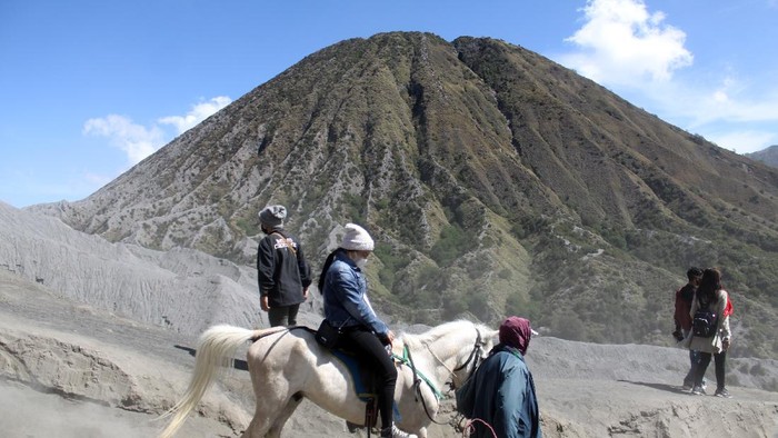 Pemilik mengantarkan pengunjung berkuda di Gunung Bromo, Probolinggo, Jawa Timur, Minggu (13/6/2021). Para pemilik kuda tersebut menawarkan jasanya kepada wisatawan yang ingin menuju puncak Gunung Bromo menggunakan kuda dengan tarif Rp50 ribu sampai Rp150 ribu. ANTARA FOTO/Umarul Faruq/foc.