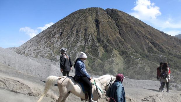 Pemilik mengantarkan pengunjung berkuda di Gunung Bromo, Probolinggo, Jawa Timur, Minggu (13/6/2021). Para pemilik kuda tersebut menawarkan jasanya kepada wisatawan yang ingin menuju puncak Gunung Bromo menggunakan kuda dengan tarif Rp50 ribu sampai Rp150 ribu. ANTARA FOTO/Umarul Faruq/foc.