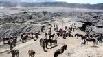 Jasa Penyewaan Kuda untuk Menuju Puncak Bromo