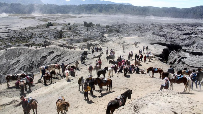 Pemilik mengantarkan pengunjung berkuda di Gunung Bromo, Probolinggo, Jawa Timur, Minggu (13/6/2021). Para pemilik kuda tersebut menawarkan jasanya kepada wisatawan yang ingin menuju puncak Gunung Bromo menggunakan kuda dengan tarif Rp50 ribu sampai Rp150 ribu. ANTARA FOTO/Umarul Faruq/foc.