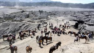 Tak Terdampak Erupsi Semeru, Wisata Bromo Masih Buka