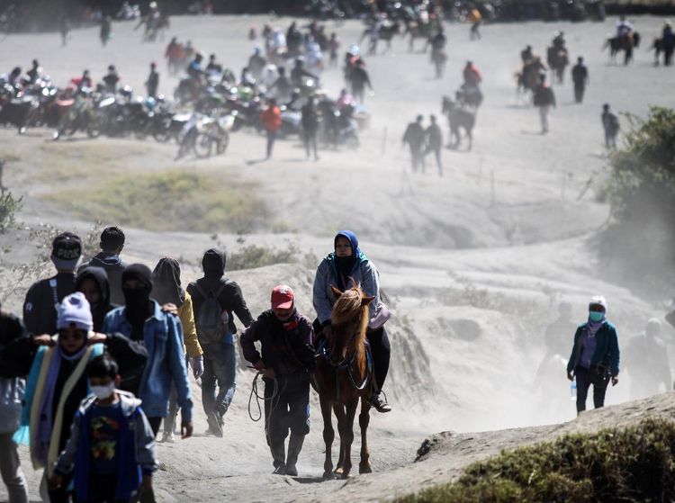 Jasa Penyewaan Kuda untuk Menuju Puncak Bromo