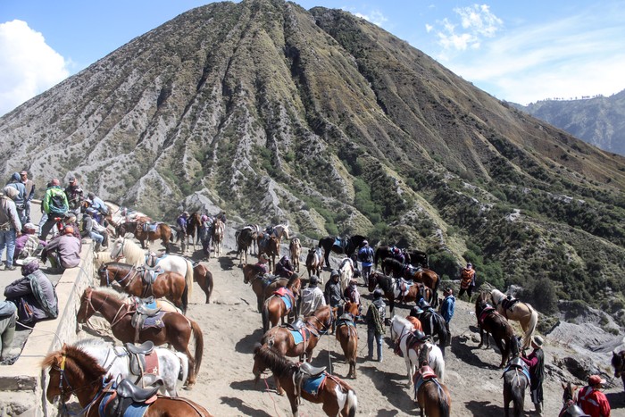 Pemilik mengantarkan pengunjung berkuda di Gunung Bromo, Probolinggo, Jawa Timur, Minggu (13/6/2021). Para pemilik kuda tersebut menawarkan jasanya kepada wisatawan yang ingin menuju puncak Gunung Bromo menggunakan kuda dengan tarif Rp50 ribu sampai Rp150 ribu. ANTARA FOTO/Umarul Faruq/foc.