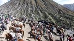 Jasa Penyewaan Kuda untuk Menuju Puncak Bromo